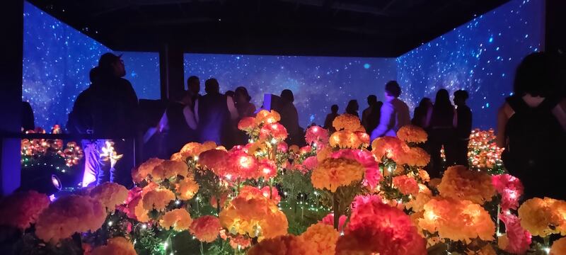 Victoria Cempasúchil: La Experiencia honra la memoria de aquellos seres queridos que se nos adelantaron a través de un espacio sensorial donde las ofrendas cobran vida.