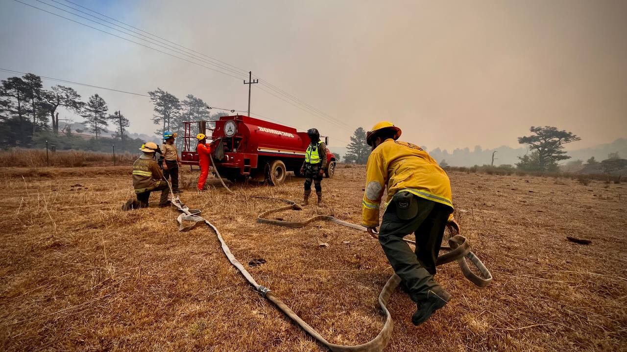 Cerca de 300 brigadistas participan en el combate al incendio en Jalisco