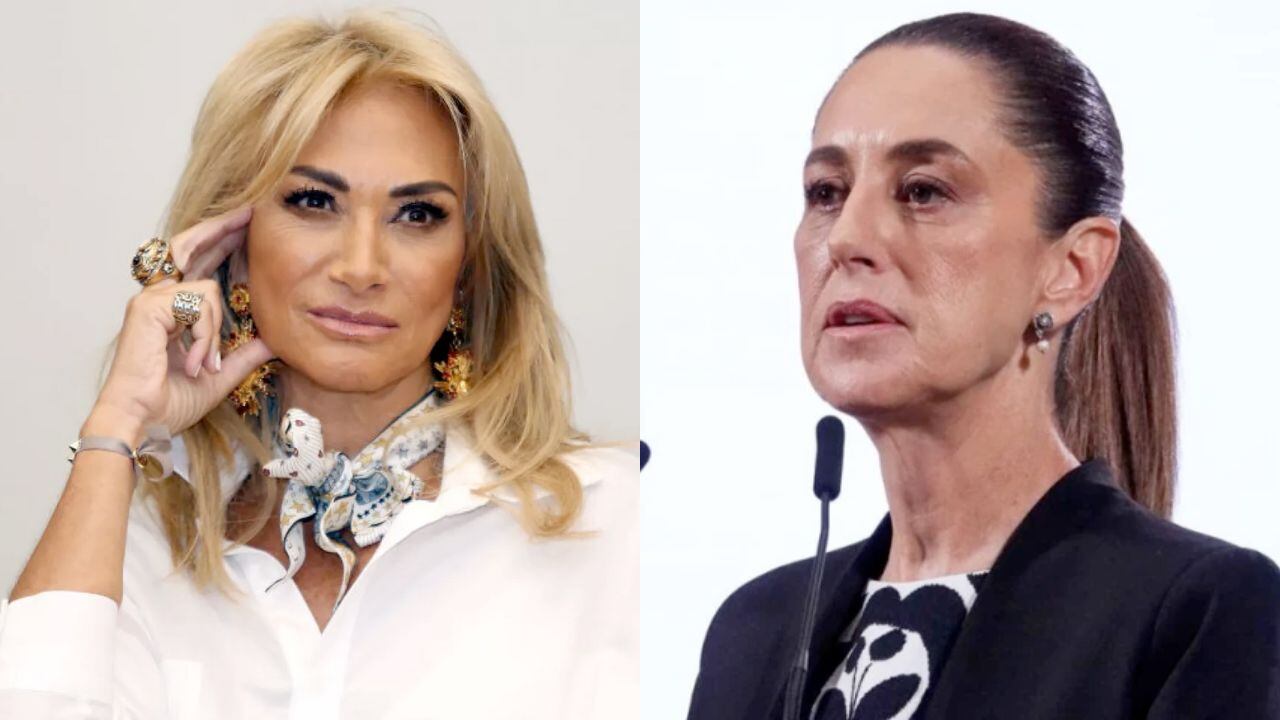 La presidenta de México fue informada esta mañana de la supuesta apropiación del Bosque de Chapultepec, por parte de Adela Micha