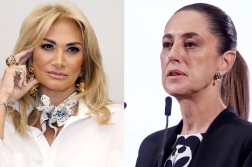 Video: Claudia Sheinbaum investigará a Adela Micha por supuesta apropiación del Bosque de Chapultepec