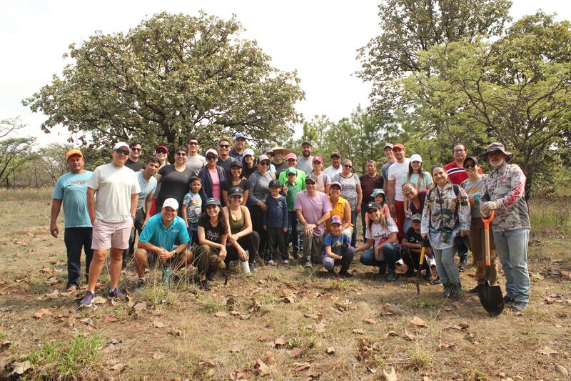 Plantarán 30 mil árboles en La Primavera.