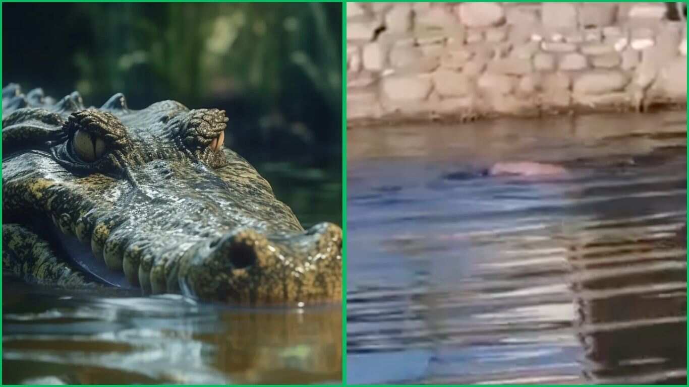 Familia pidió auxilio para Ernesto