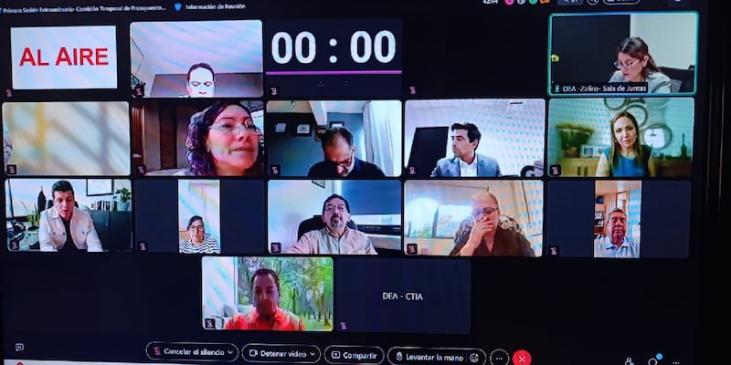 Sesión virtual del INE