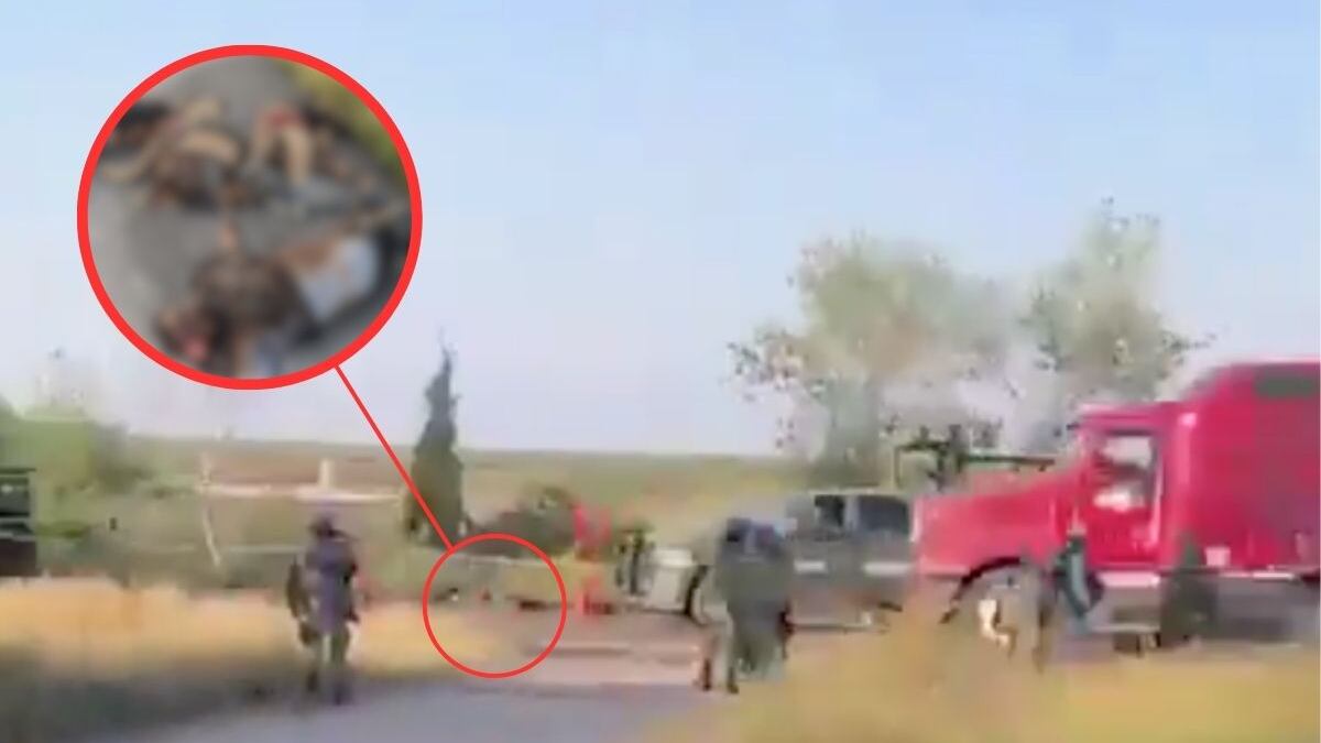 Violencia imparable en Sinaloa: Abandonan cinco cuerpos en maxipista Culiacán-Mazatlán