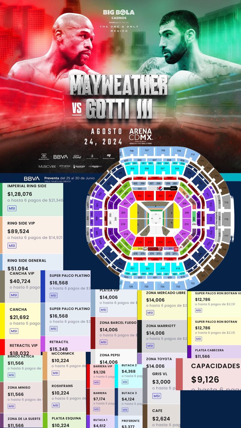 Precios para la pelea de Floyd Mayweather en México superan los 100 mil pesos. Imagen: @ailoviult.