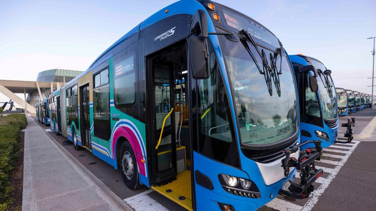 Autobuses.