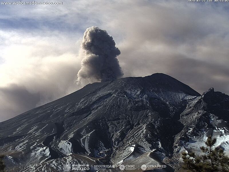 Ha aumentado su actividad a lo largo de los últimos días. (Webcams de México)