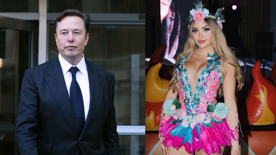 Elon Musk/Ari Gampleays