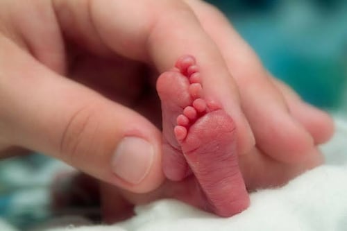 Detectan 73 alteraciones metabólicas en recién nacidos en Guanajuato gracias al tamiz neonatal