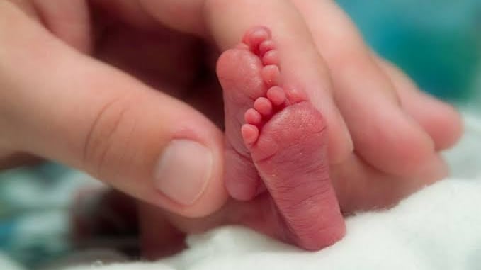 El tamiz metabólico se realiza en los primeros días de vida y permite detectar enfermedades congénitas de forma oportuna.