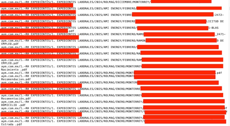 Documentos laborales, pruebas psicométricas y bases de datos contables figuran entre los archivos más delicados del paquete filtrado.