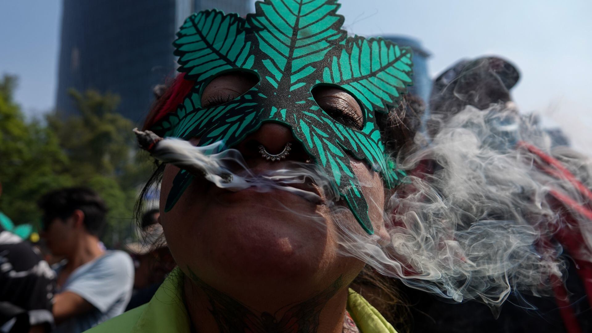 Alista séptima edición del Expoweed en México.