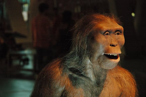 Descubren que nuestros ancestros eran vegetarianos hace 3,5 millones de años