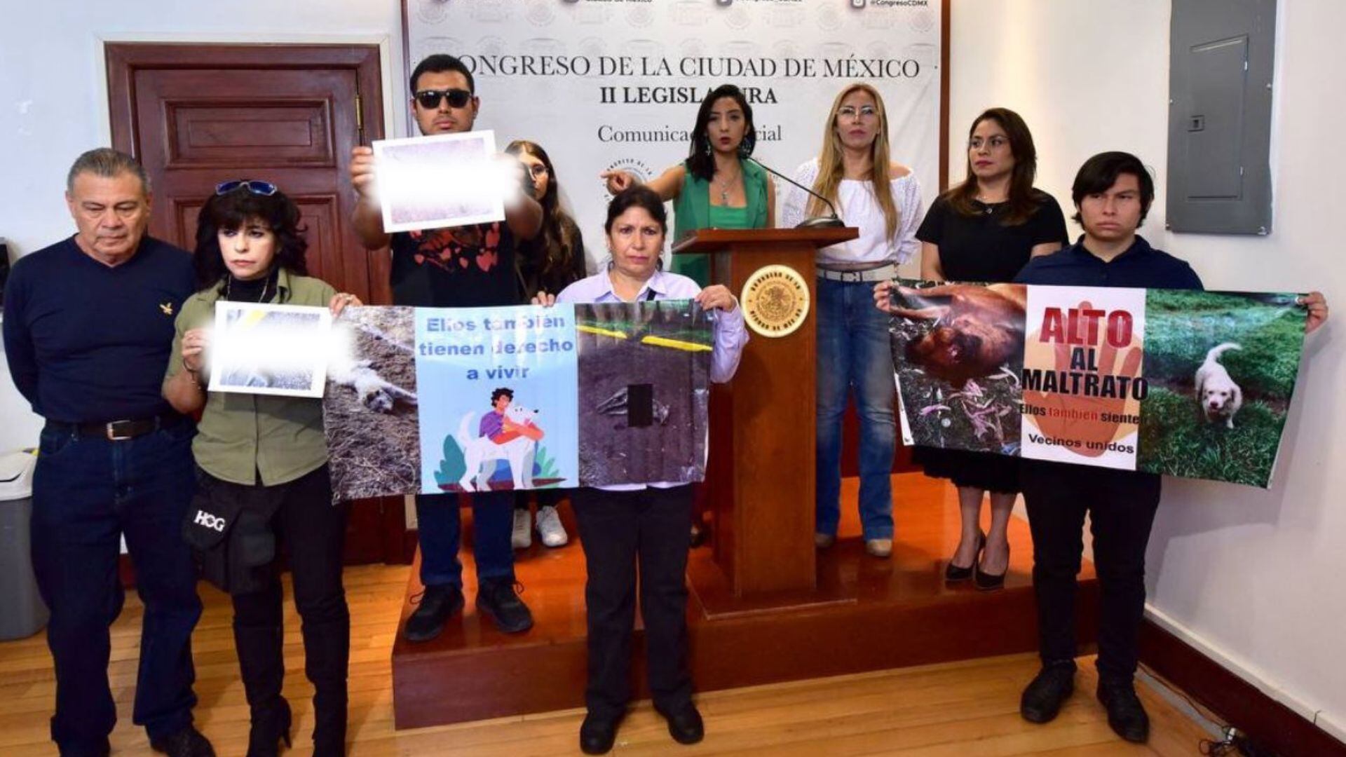 La Constitución de la Ciudad de México reconoce a los animales como seres sintientes por lo que se debe perseguir el delito de crueldad animal.