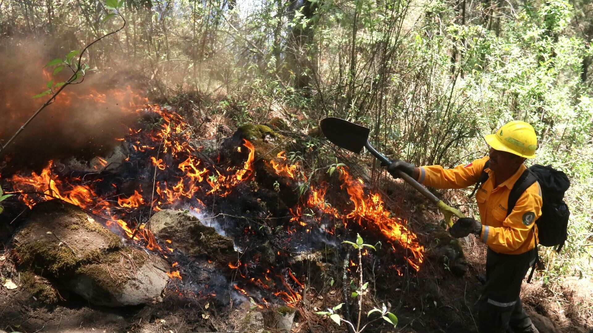 Conafor pide a civiles no combatir incendio forestales sin capacitación