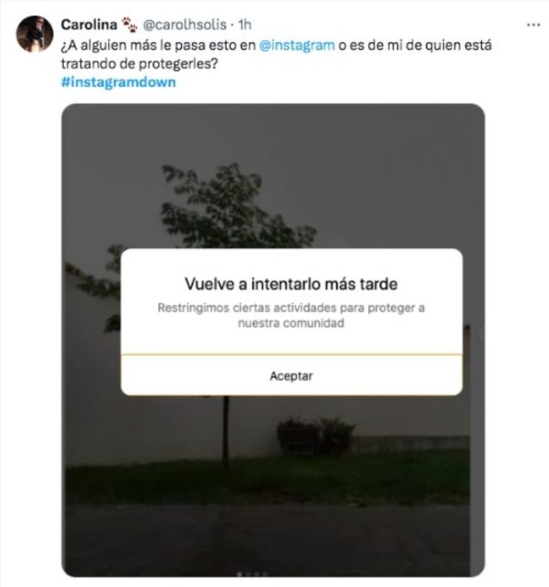 Leyenda de Instagram por caída