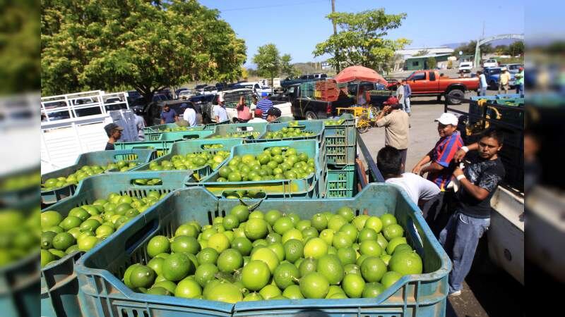 Limones de La Ruana