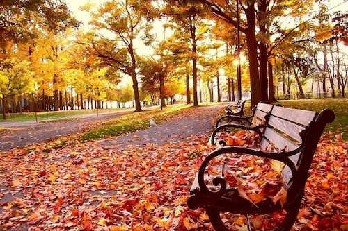 La nostalgia del otoño y la riqueza de lo que tenemos