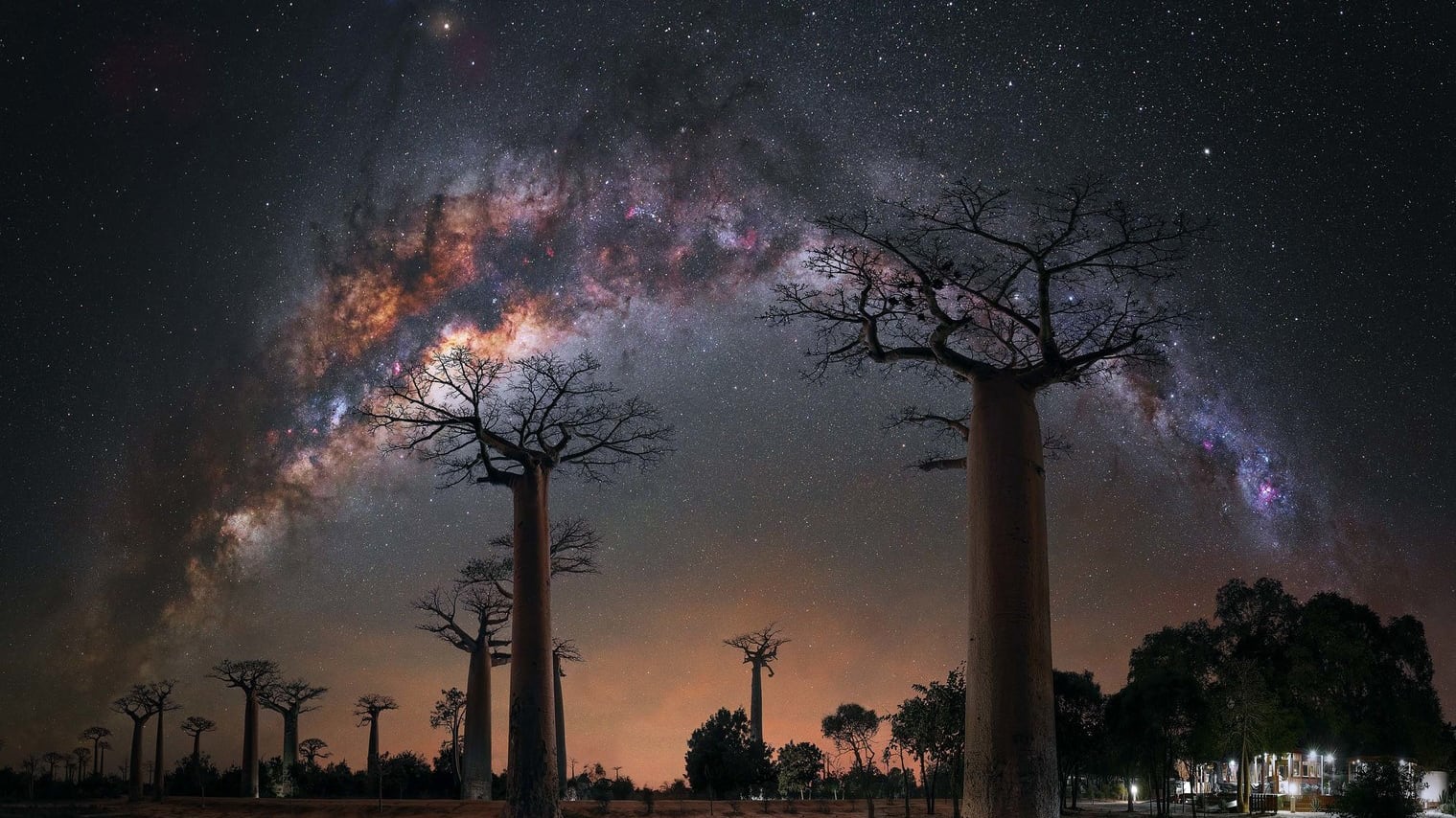 Noche bajo los árboles Baobab