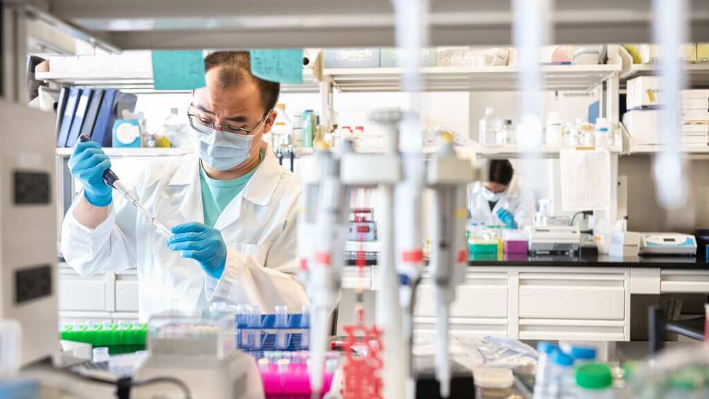 Medicamento Covid-19