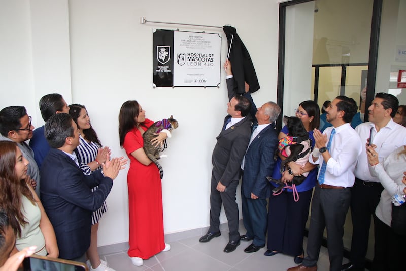 Hospital de Mascotas León 450.