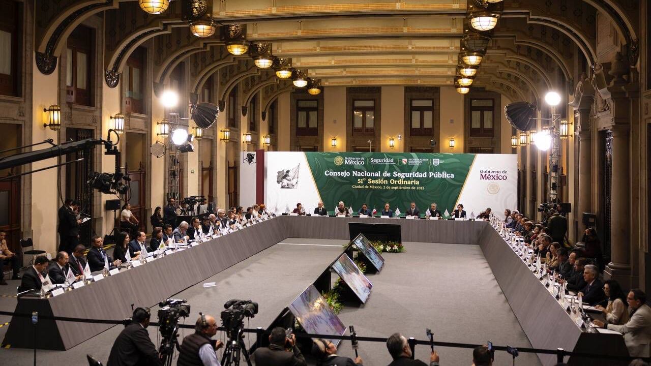 Consejo Nacional de Seguridad Pública.