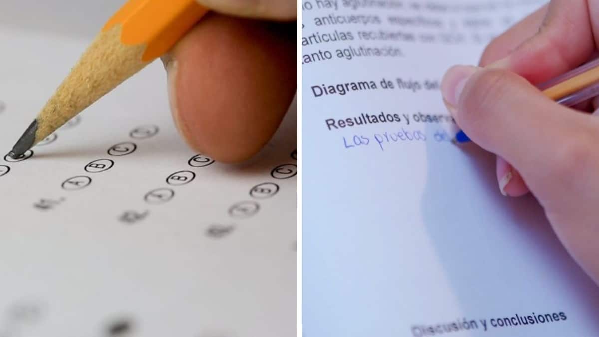 Las fichas se entregan en los planteles públicos.