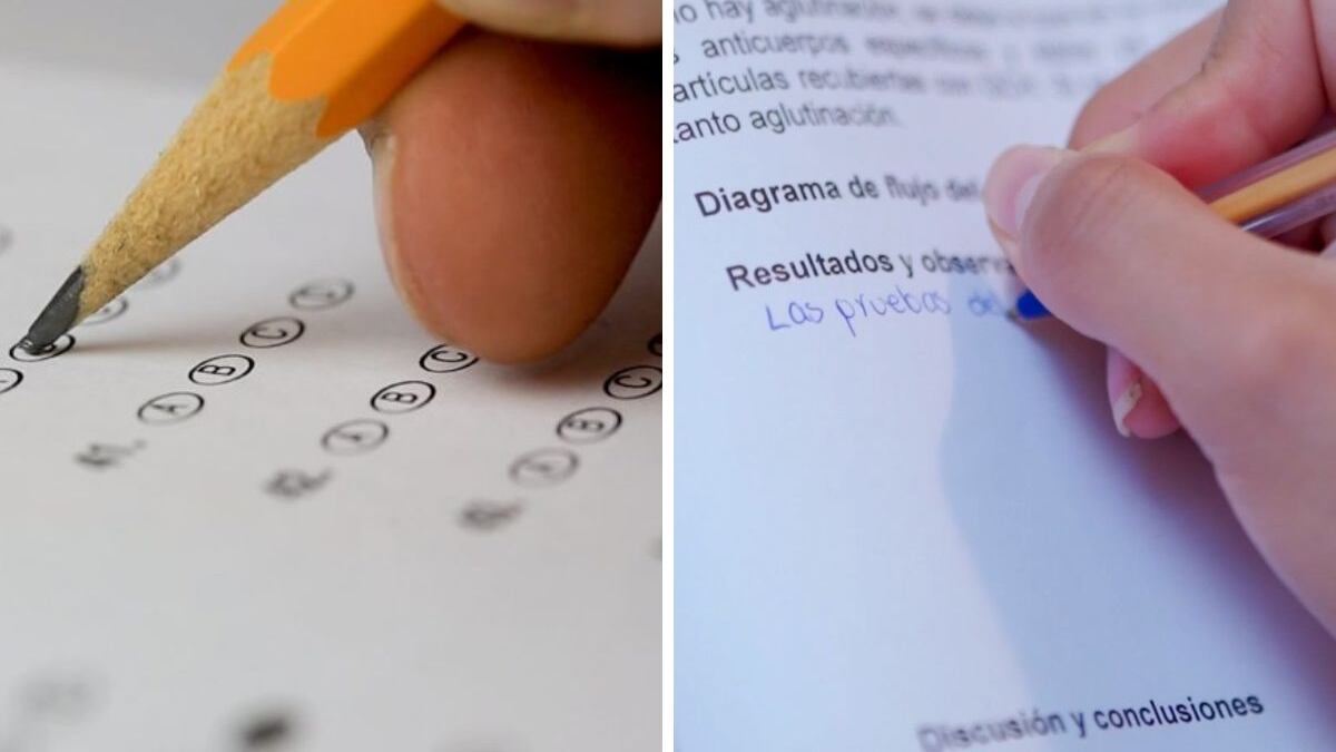 Las fichas se entregan en los planteles públicos.