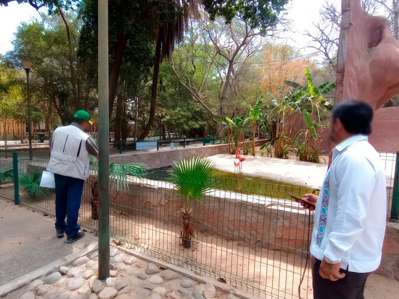 Zoológico de Culiacán incumple normas ambientales con todos sus animales