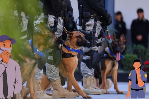EU dona nueve perros adiestrados a Zapopan de cara al Mundial