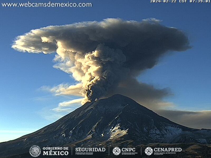 Ha aumentado su actividad a lo largo de los últimos días. (Webcams de México)