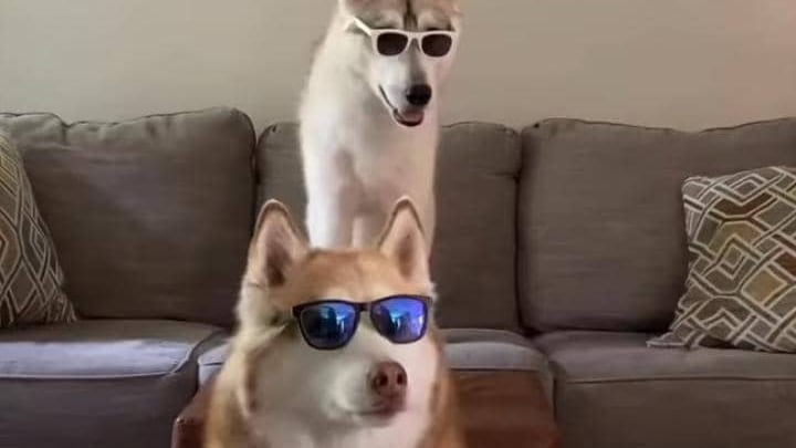 Estas son las fotos con más like en Instagram