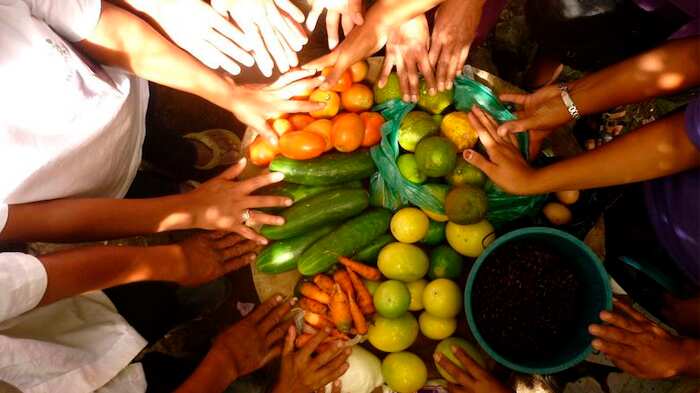 Día Mundial de la Alimentación