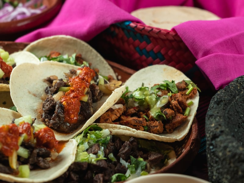 El evento contará con más de 60 restaurantes, cocineras tradicionales y un pabellón de arte contemporáneo