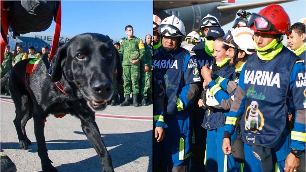 La misión mexicana llegó a la ciudad de Adana, cerca de la zona de desastre. (Especial)