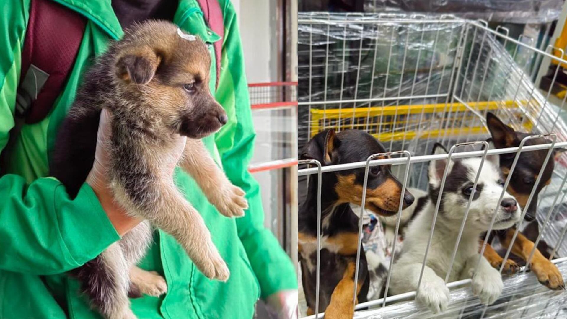 4 de febrero de 2023