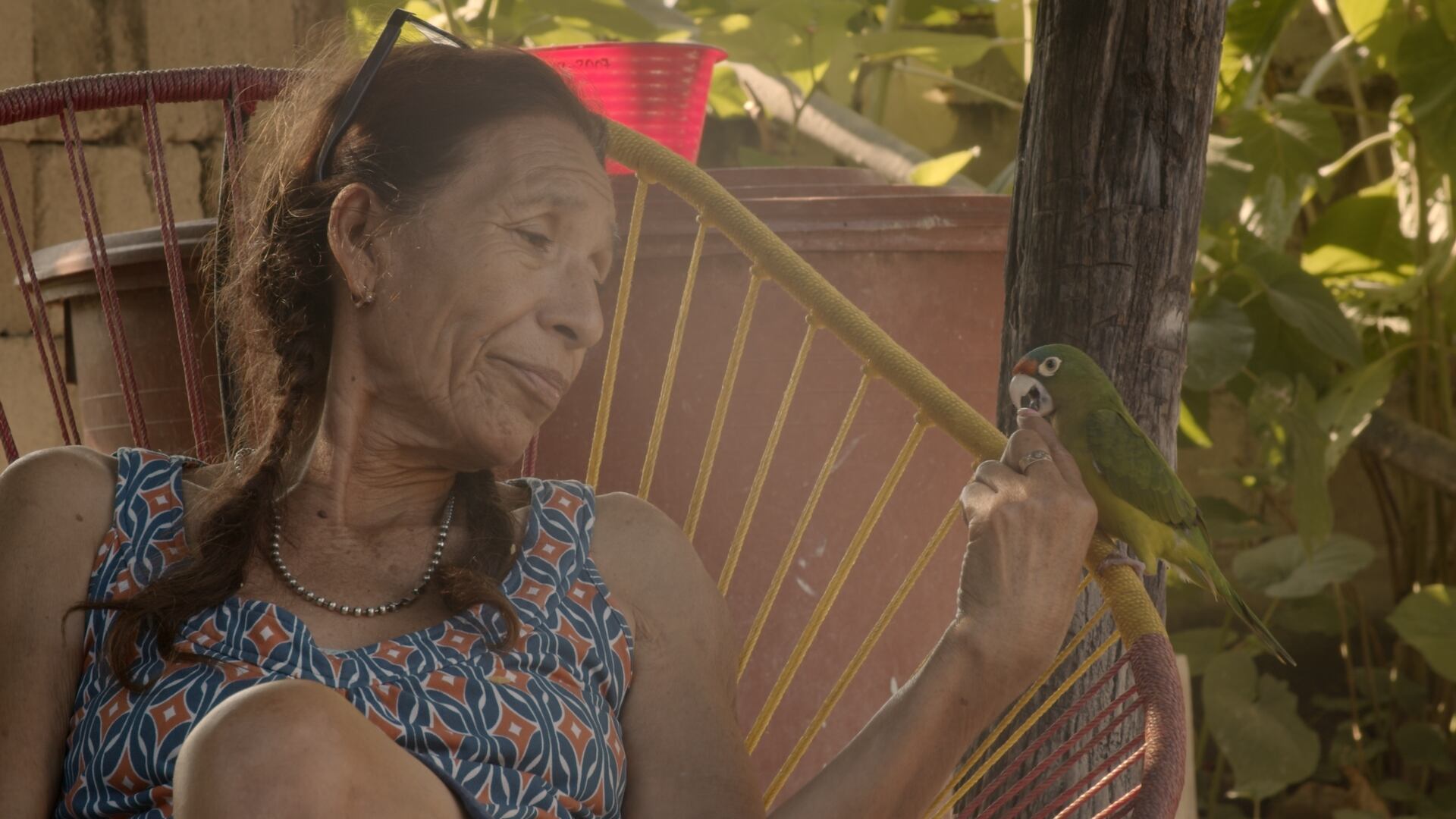 Muestra Oaxaca, Cine para la Vida