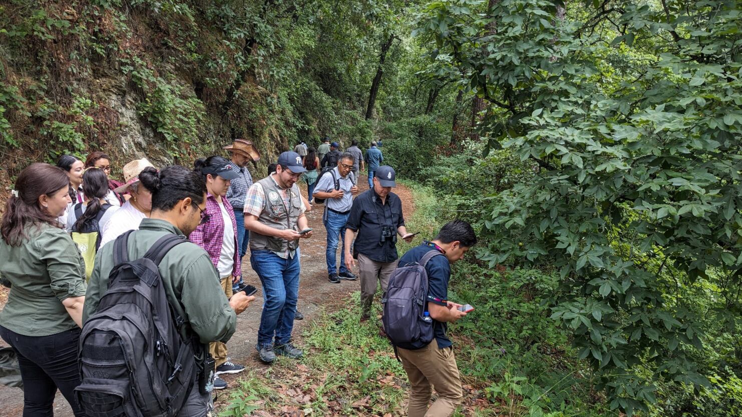 En 6 años ha aumentado la biodiversidad.