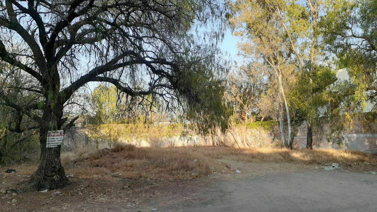 El ayuntamiento autorizó la medida mediante votación unánime. (Cortesía)