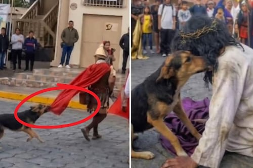 Video: Perrito callejero defiende a Jesús en pleno Viacrucis y conmueve a todos