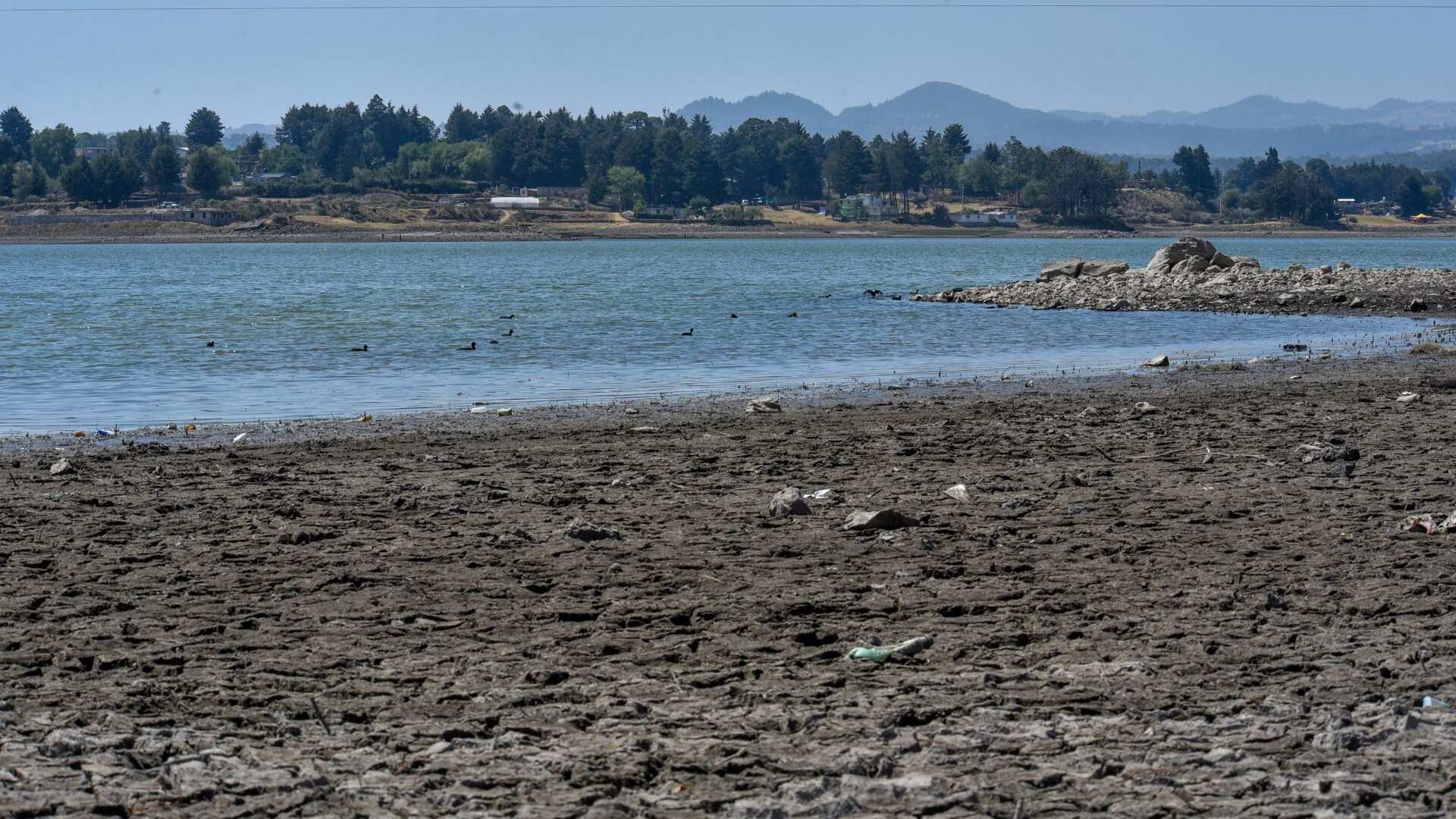 Calor extremo afectará a la mitad de la población mundial en 2050