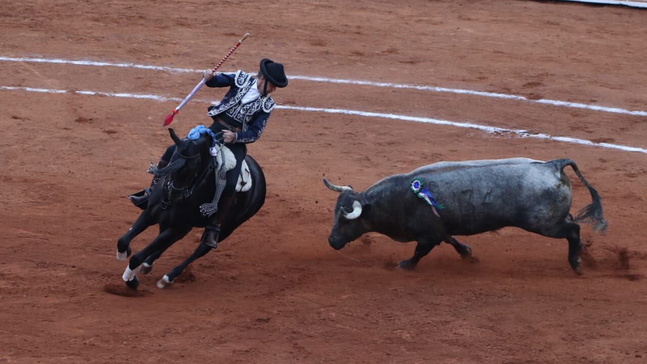 Tauromaquia representa tarato degradante e inhumano a los animales