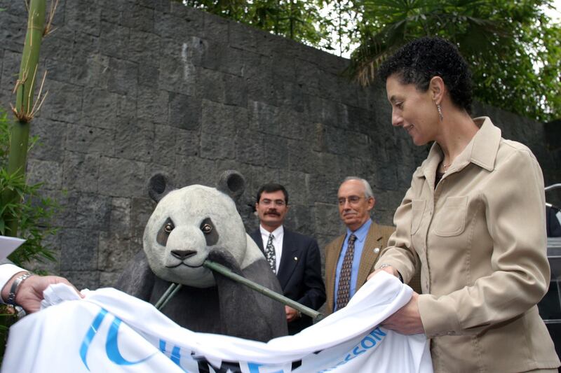En 2004 cuando Claudia Shembaum era secretaria de Medio Ambiente develó la estatua del panda Tohui (el primer panda nacido en cautiverio fuera de China) en Chapultepec.