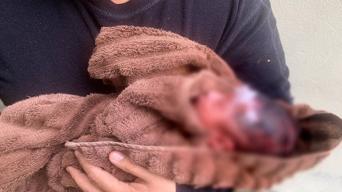 La niña se encuentra en el Hospital Materno Infantil donde se le reporta estable.