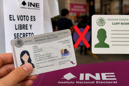 CURP biométrica no reemplaza al INE, credencial seguirá siendo obligatoria para votar