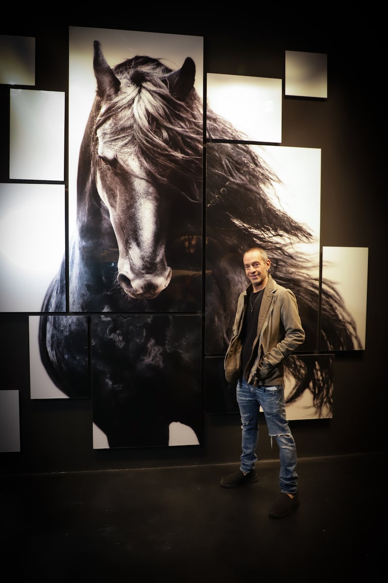 La obra vanguardista de Pepe Soho estará compuesta de 7 salas, así como de su obra fotográfica en gran formato. Todo preparado para cautivar tu mente y sensaciones
