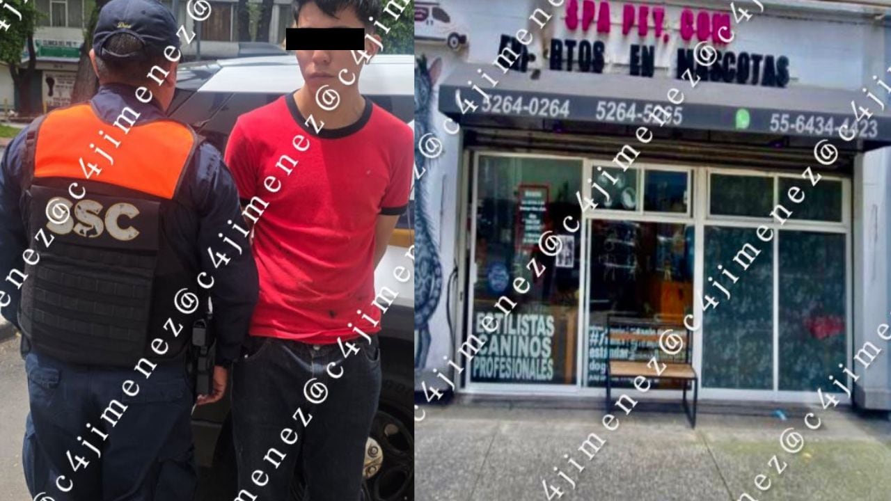 Llevó a su perrito a la estética y lo regresaron muerto; detienen a empleado en CDMX