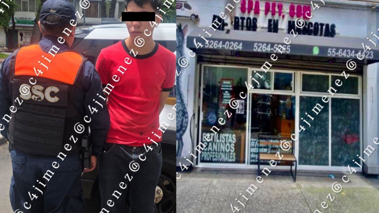 Empleado de estética canina es detenido