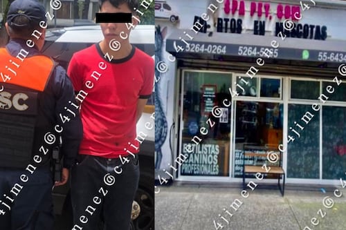 Llevó a su perrito a la estética y lo regresaron muerto; detienen a empleado en CDMX