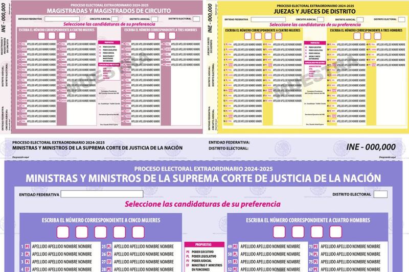 Proceso electoral 2025